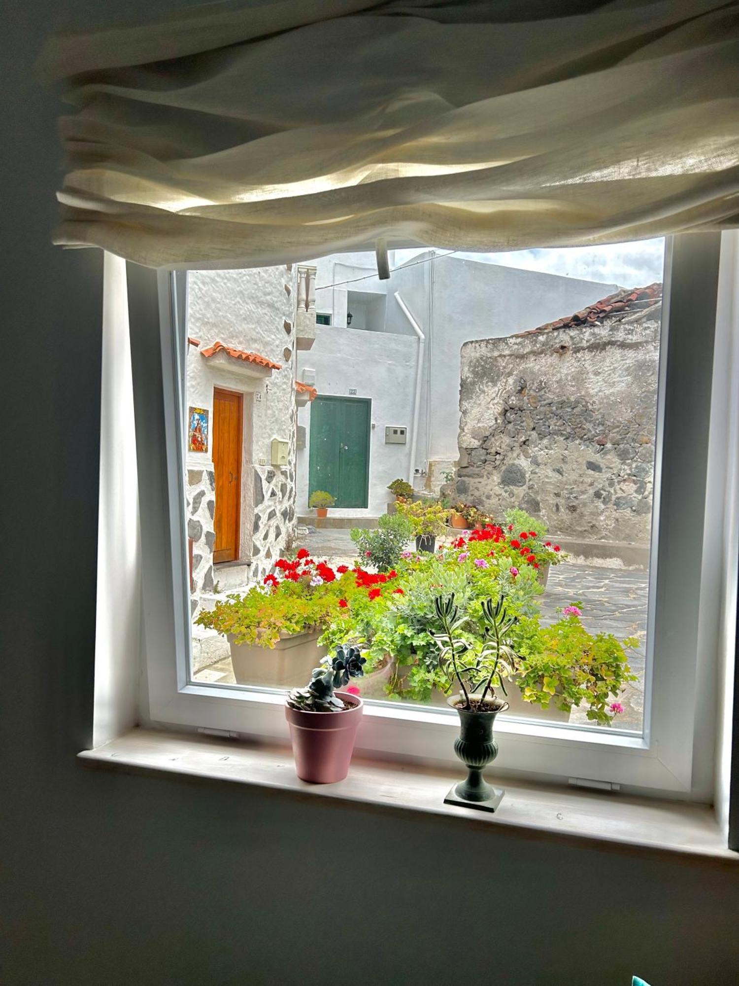 Appartamento Perro Y Osito Garachico  Esterno foto